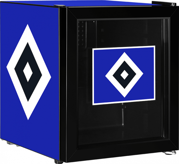 ECG ERM 10510 s04 Réfrigérateur FC Schalke 04 48 L Poudre Revêtement EEK F 