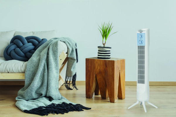 Cozy home decor with natural tree stump table, plant, posters and soft gray cotton blanket lying on the wooden beige couch